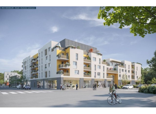 Investissement locatif en Seine et Marne 77 : programme immobilier neuf pour investir Isatis  Melun